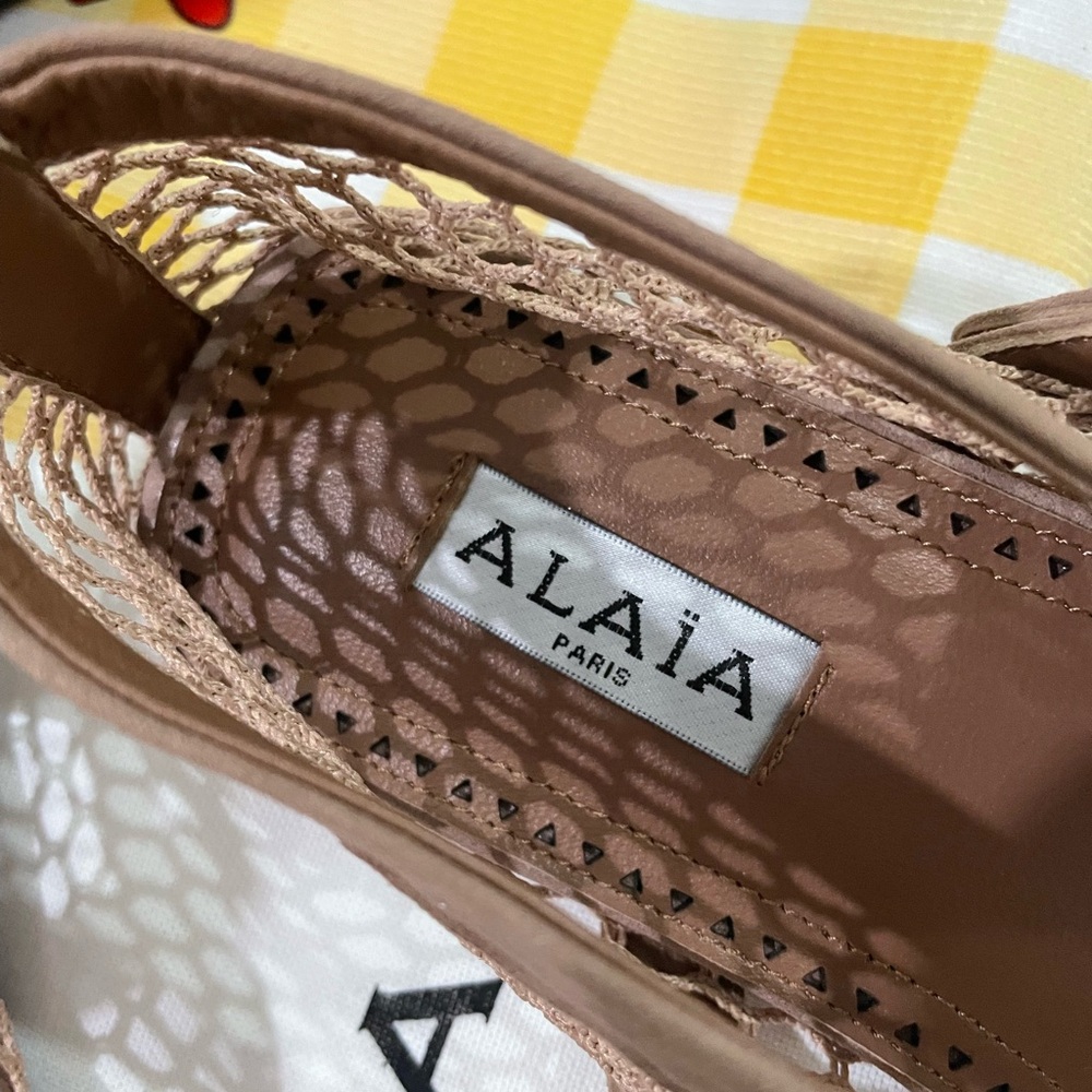 ALAIA Nude Mesh Mary Jane Flats - Picture 3 of 15